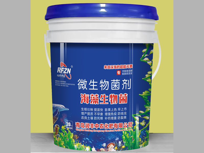 海藻生物菌